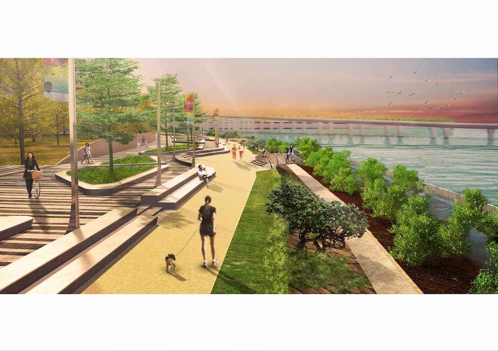 東涌東 – 擬建的海堤和生態海岸線