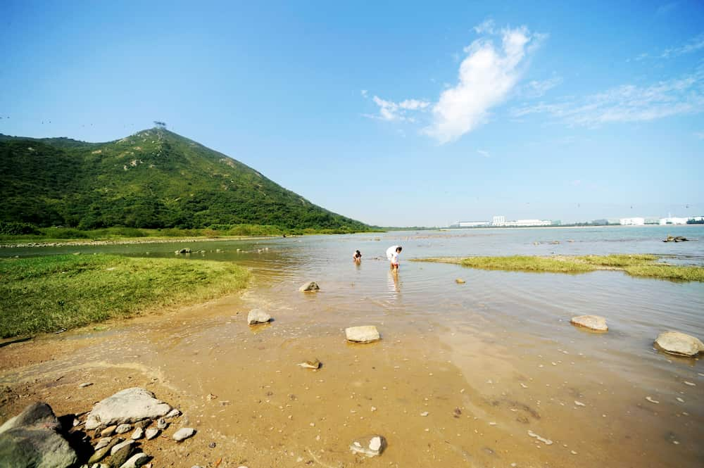 东涌西 – 东涌湾泥滩